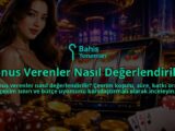 Bonus-Verenler-Nasil-Degerlendirilir-overlay-1789764174.jpg